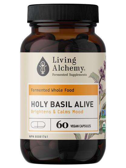 Holy Basil Alive