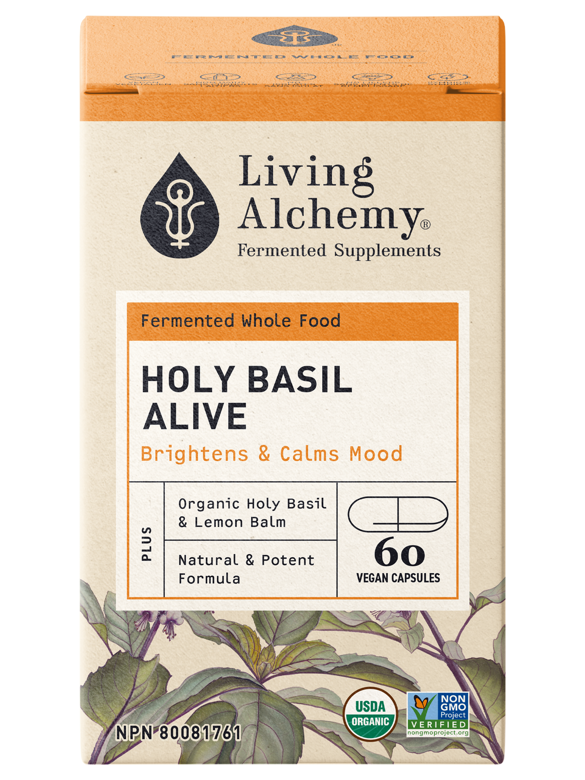 Holy Basil Alive