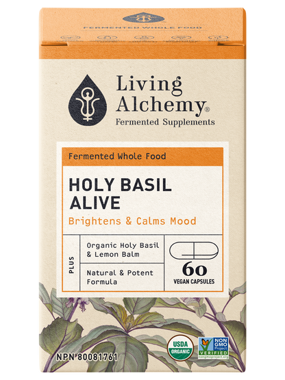 Holy Basil Alive