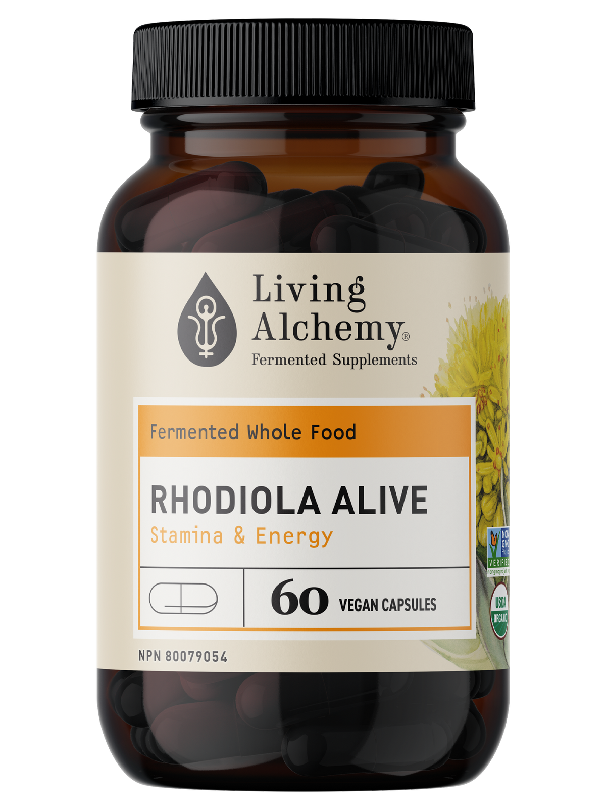 Rhodiola Alive