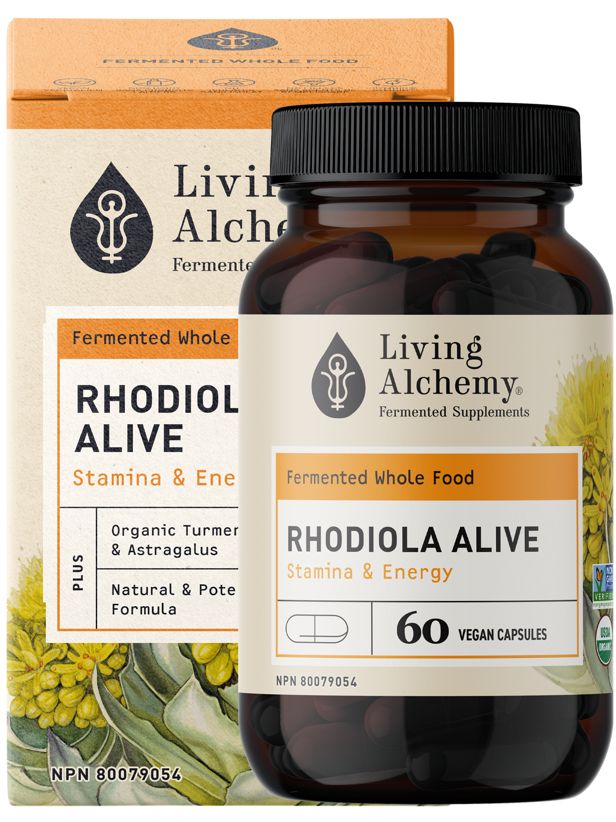 Rhodiola Alive