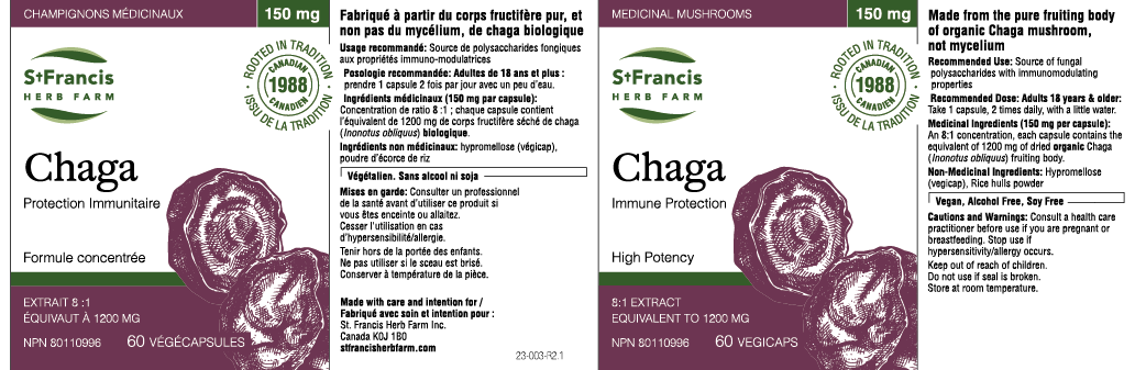 Chaga Mushroom