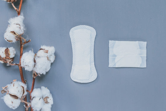 Normal Panty Liners