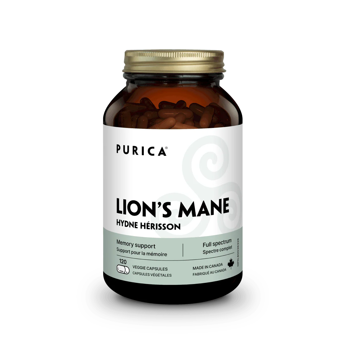 Lion's Mane