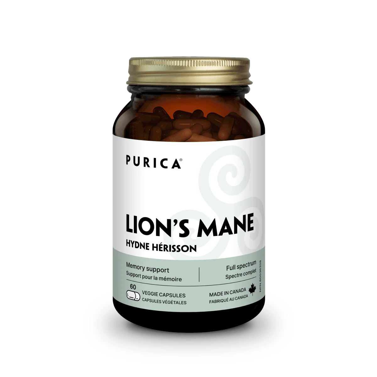 Lion's Mane
