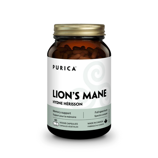 Lion's Mane