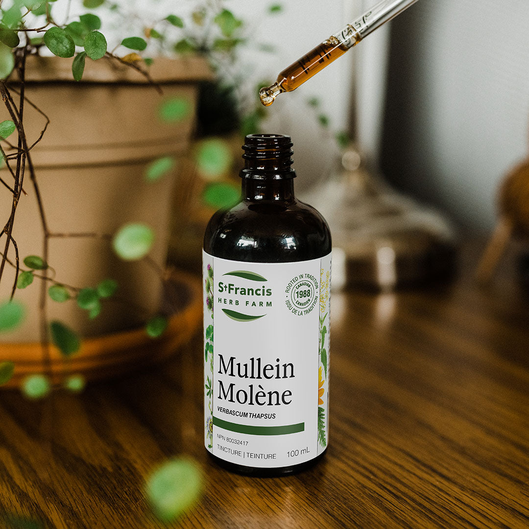 Mullein Tincture