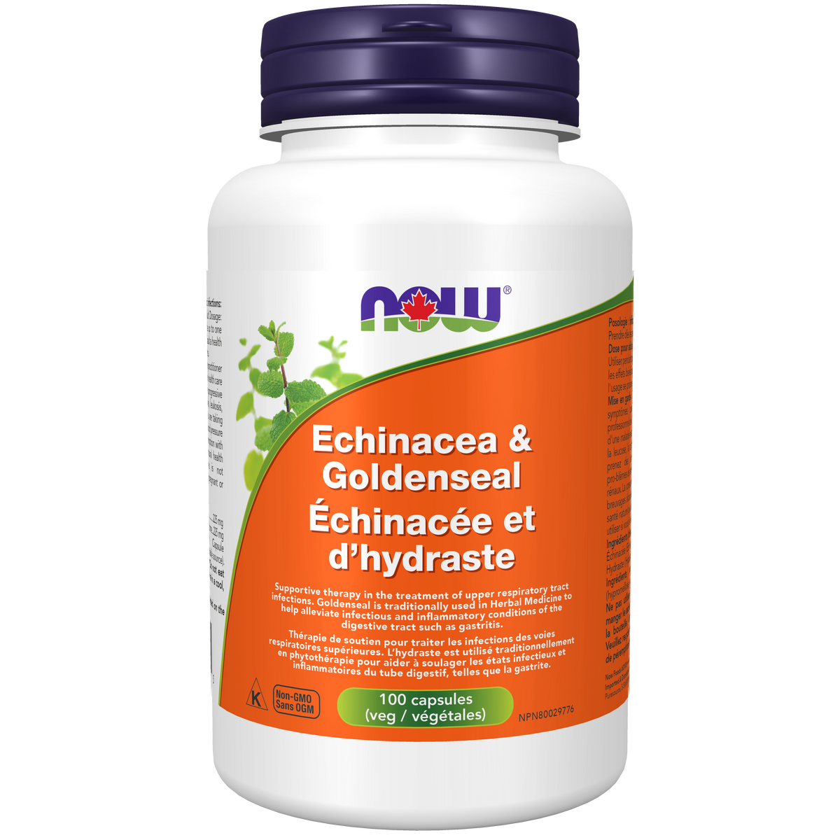 Echinacea & Goldenseal