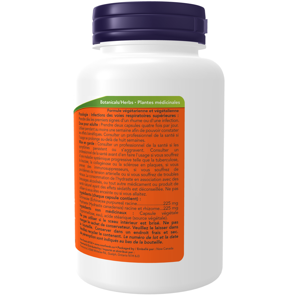 Echinacea & Goldenseal