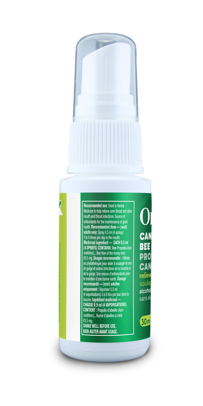 Bee Propolis Throat Spray