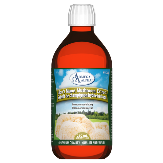 Lion's Mane Mushroom Extract
