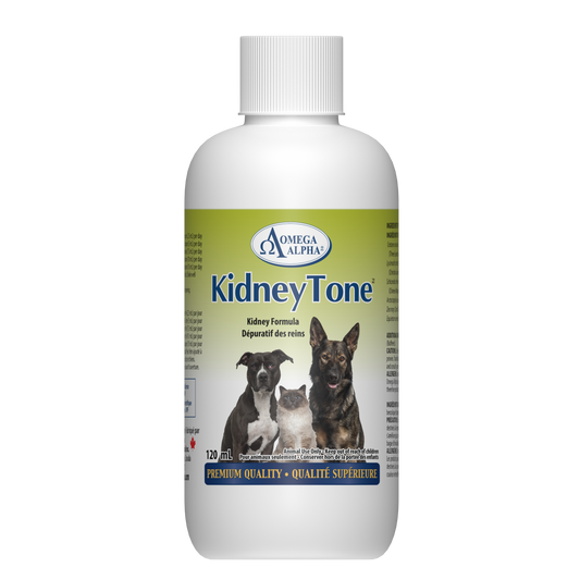 KidneyTone™