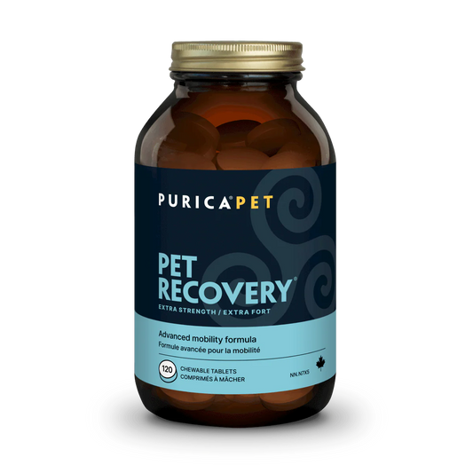 Pet Recovery Extra Strength