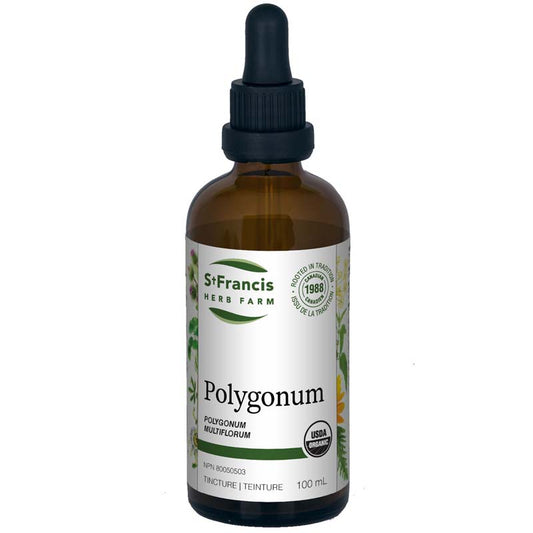 Polygonum Tincture