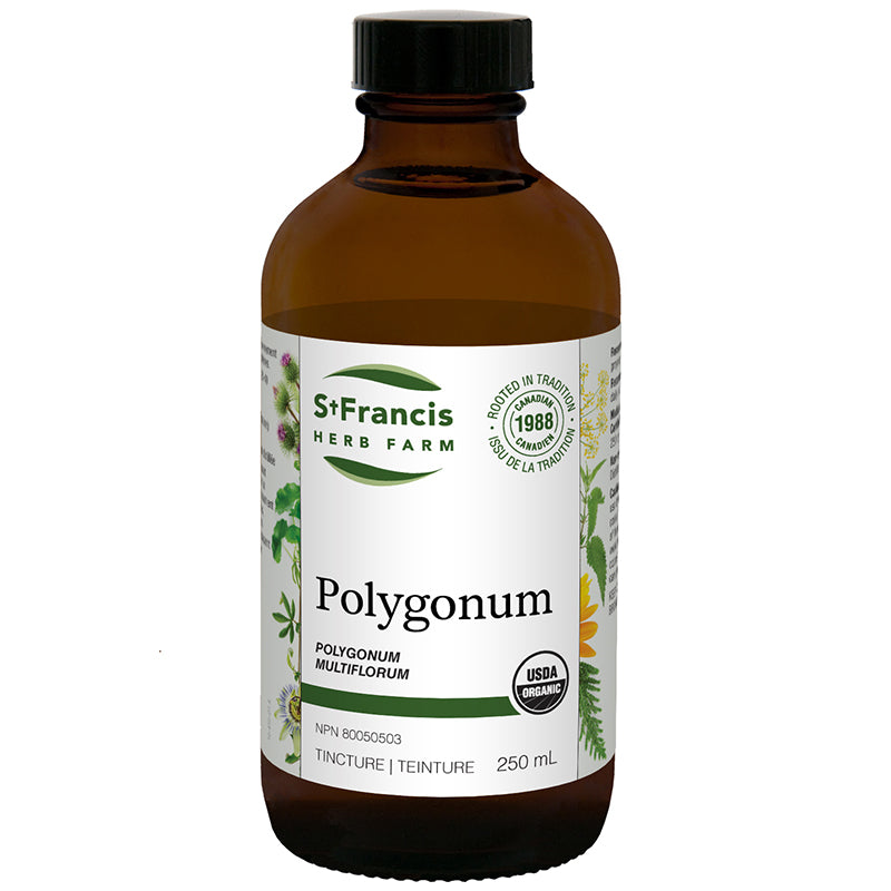Polygonum Tincture