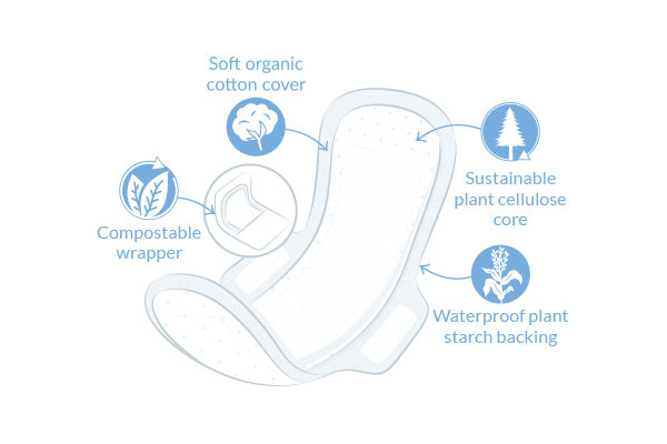 Ultra Extra Regular Pads with wings