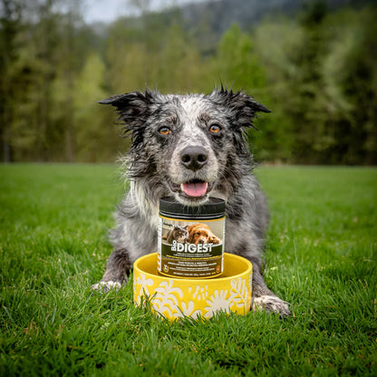 BioDIGEST™ Pet Probiotic & Prebiotic
