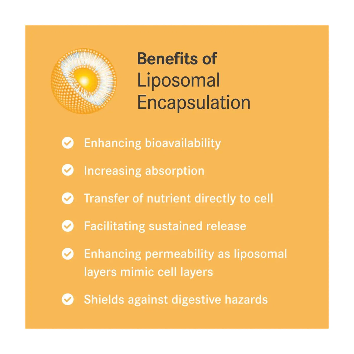 Vitapas C Liposomal