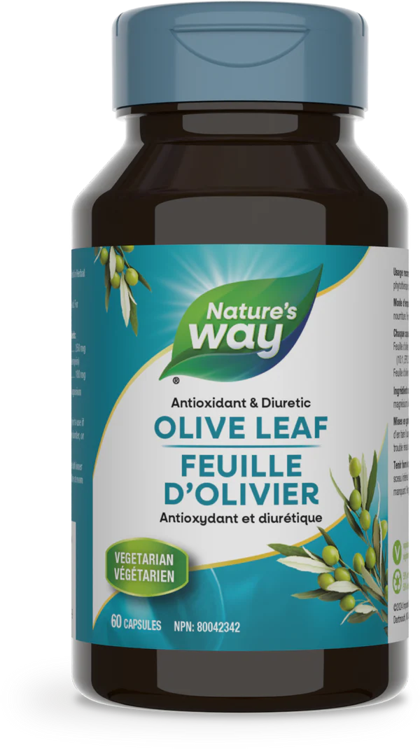 Olive Leaf Standardized Extract