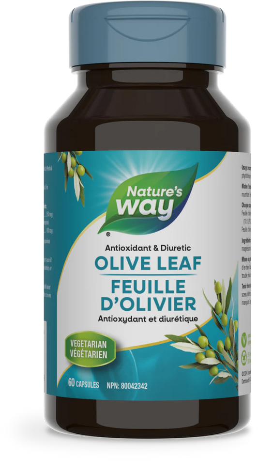 Olive Leaf Standardized Extract