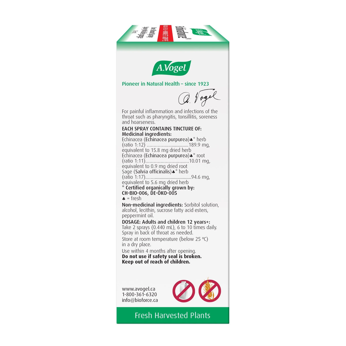 Echinaforce Sore Throat Spray Fast Acting Relief