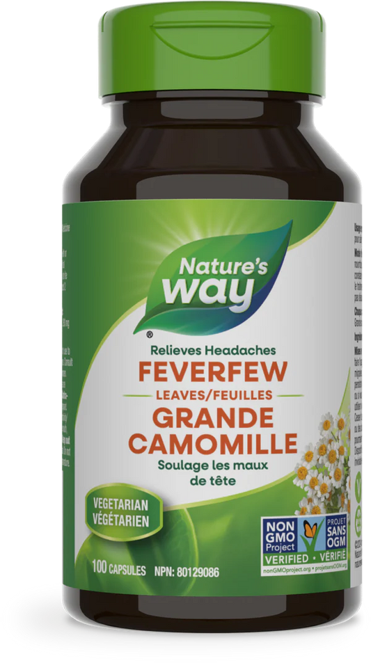 Feverfew Leaves