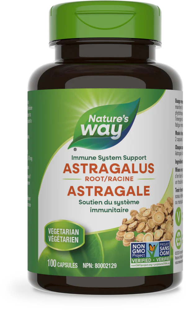 Astragalus Root