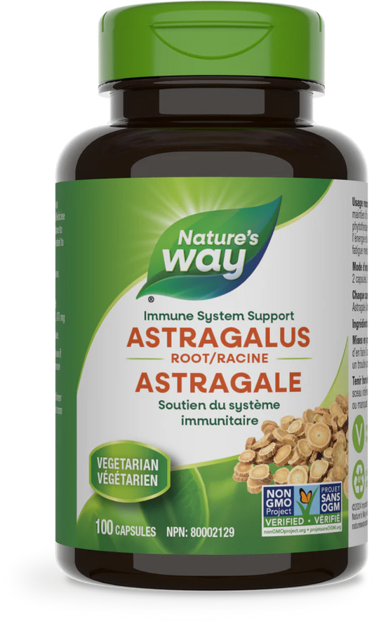 Astragalus Root