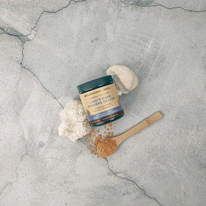 Lion's Mane Mushroom Powder