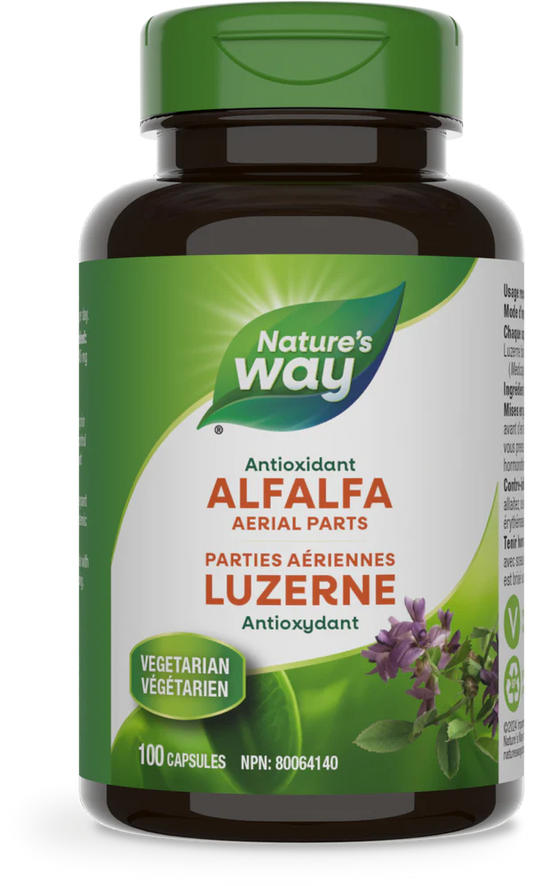 Alfalfa Leaves