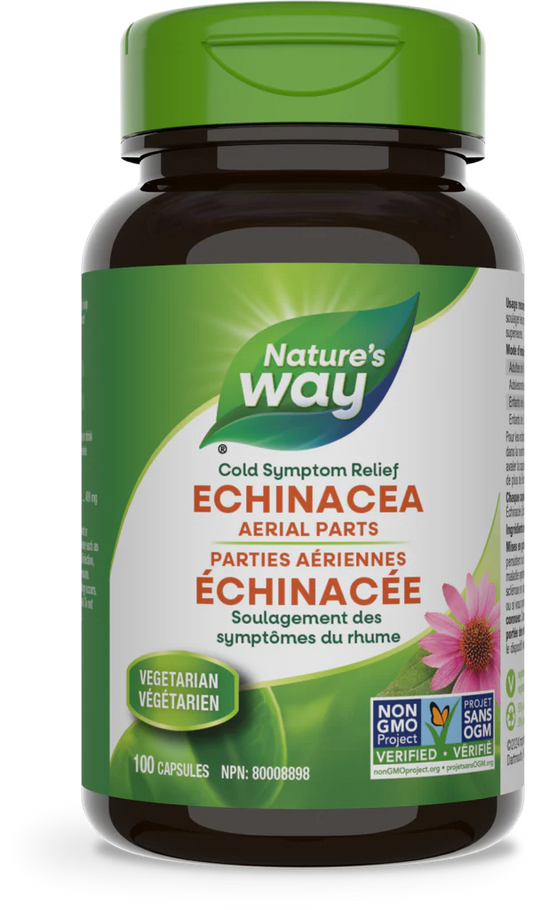 Echinacea